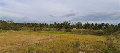 lot for sale bacolod|Land for Sale in Bacolod, Negros Occidental .
